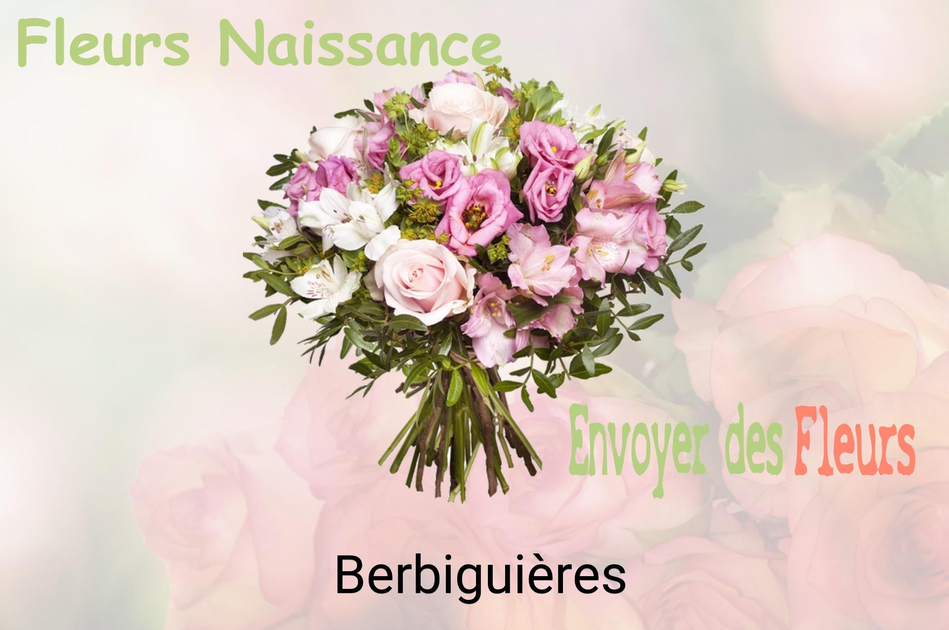 Bouquet de fleurs de naissance livré à Berbiguières